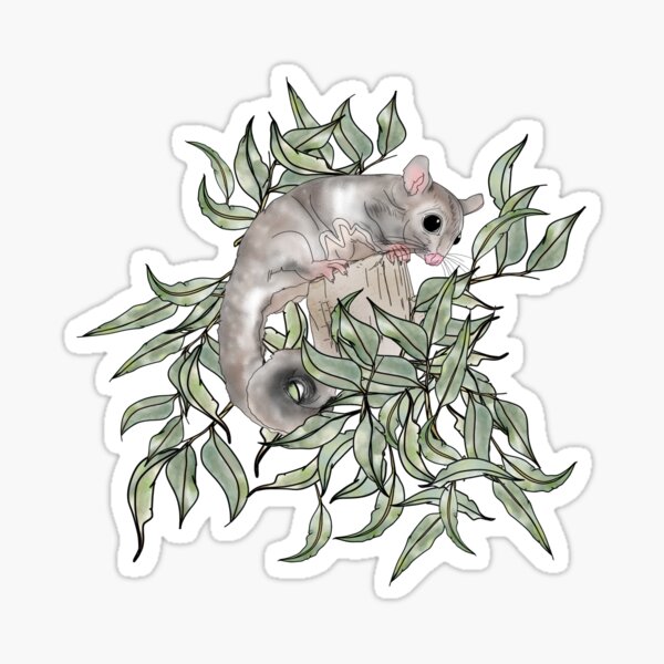 Item preview, Cute Sugar Gliders designed and sold by Traceofcolour.