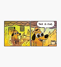 This is fine Photographic Print