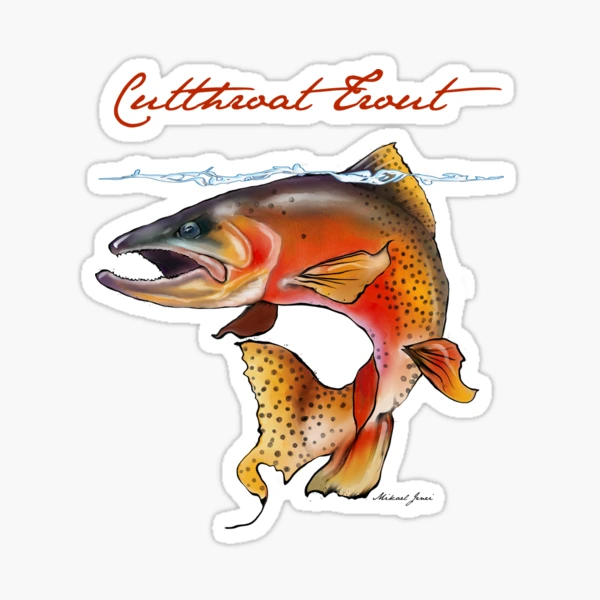 Montana Trout Stickers 3-pack Rainbow, Brook and Brown / Kiss Cut