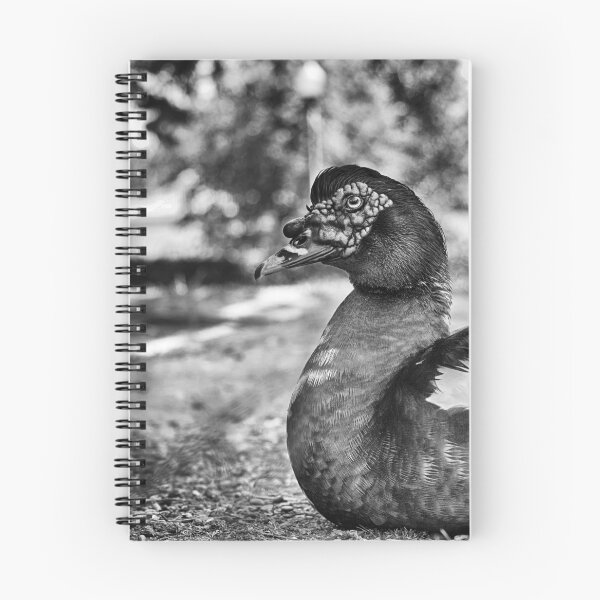 Item preview, Muscovy Duck B&W designed and sold by NunoPires.