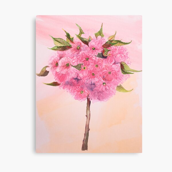 Flowers IX, Royal Garden, Brussels Canvas Print