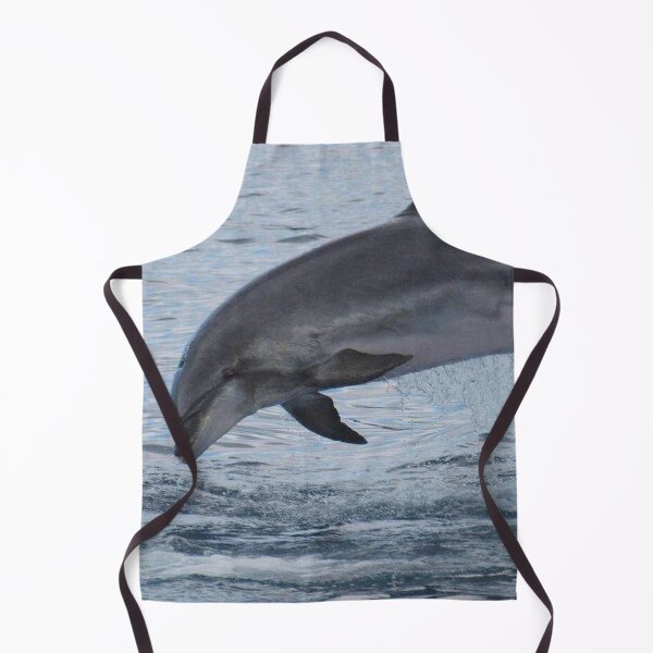 Item preview, Bottlenose dolphin designed and sold by chloeyzoard.