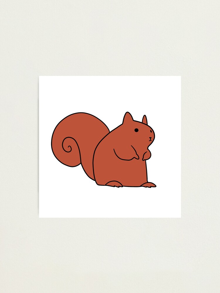 Alternate view of Cute Red Squirrel Photographic Print
