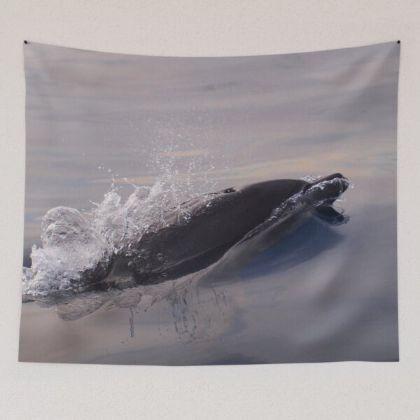 Item preview, Last dolphin last ray of light designed and sold by chloeyzoard.