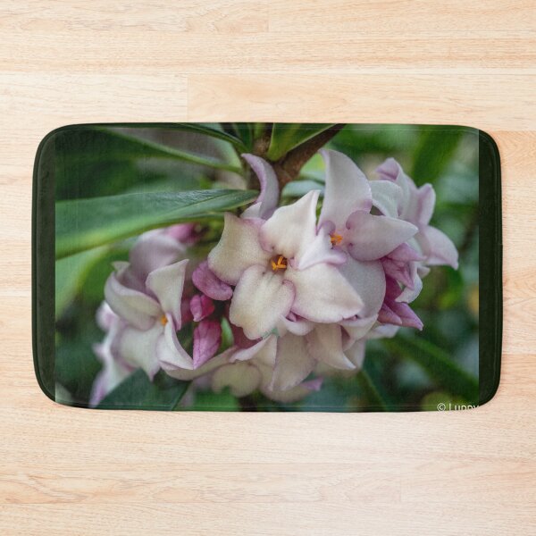 Item preview, Perfume Princess Daphne Blooming designed and sold by justmylup.