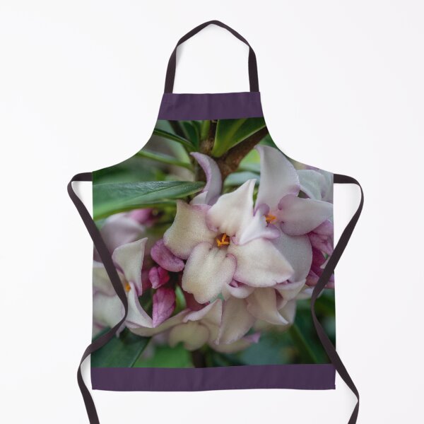 Item preview, Perfume Princess Daphne Blooming designed and sold by justmylup.