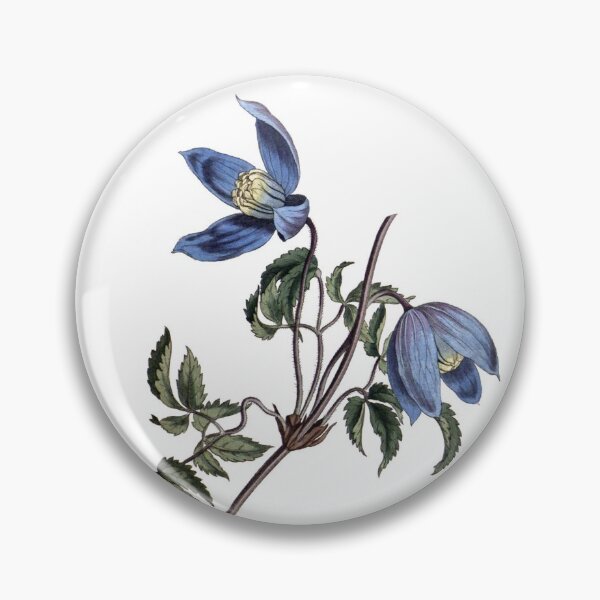Item preview, Sydenham Edwards: Alpine Clematis designed and sold by antaltamas89.