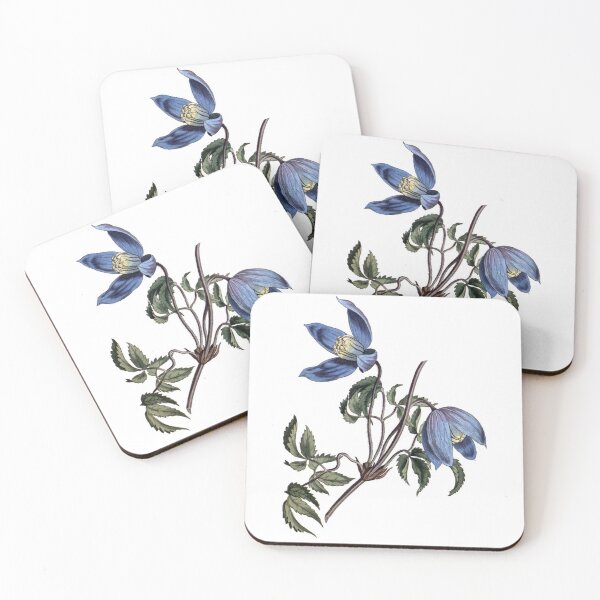 Item preview, Sydenham Edwards: Alpine Clematis designed and sold by antaltamas89.