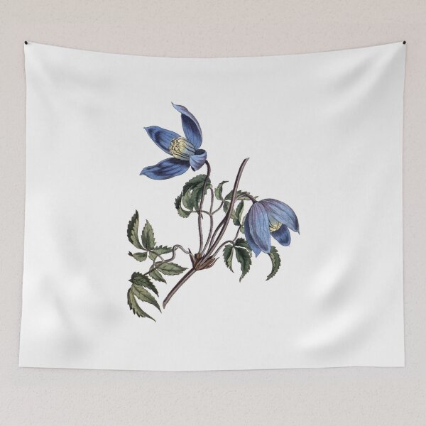 Item preview, Sydenham Edwards: Alpine Clematis designed and sold by antaltamas89.