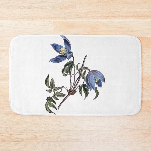 Item preview, Sydenham Edwards: Alpine Clematis designed and sold by antaltamas89.