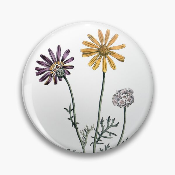 Item preview, Sydenham Edwards: Ursinia anthemoides designed and sold by antaltamas89.