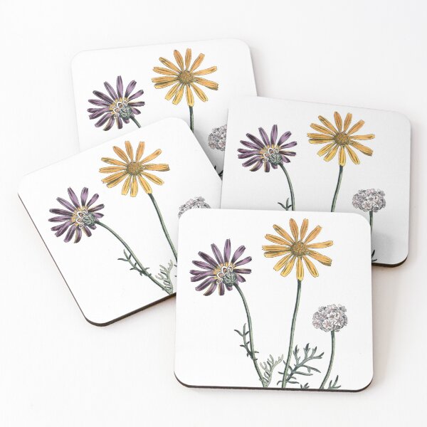 Item preview, Sydenham Edwards: Ursinia anthemoides designed and sold by antaltamas89.
