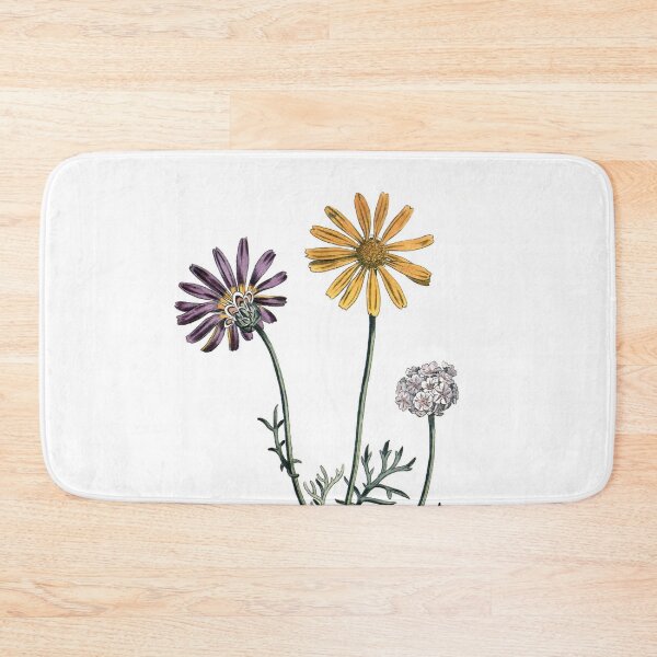 Item preview, Sydenham Edwards: Ursinia anthemoides designed and sold by antaltamas89.