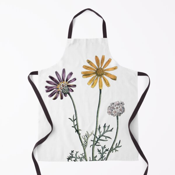 Item preview, Sydenham Edwards: Ursinia anthemoides designed and sold by antaltamas89.