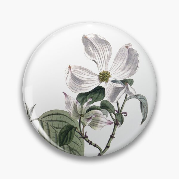 Item preview, Sydenham Edwards: Flowering Dogwood designed and sold by antaltamas89.