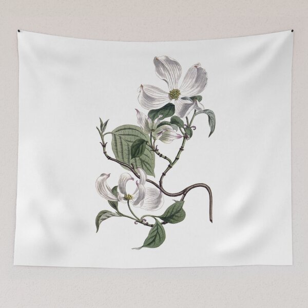 Item preview, Sydenham Edwards: Flowering Dogwood designed and sold by antaltamas89.