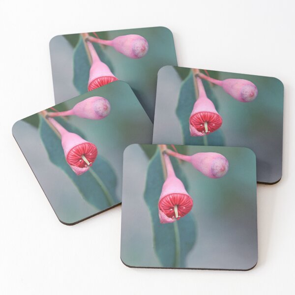 Item preview, Red Gum Blossom designed and sold by Cloudlingpics.