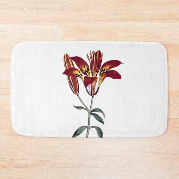 Item preview, Sydenham Edwards: Philadelphia Lily designed and sold by antaltamas89.