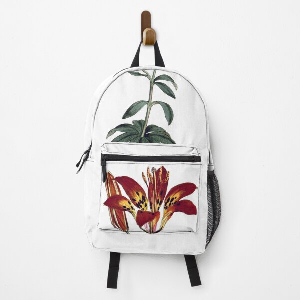 Item preview, Sydenham Edwards: Philadelphia Lily designed and sold by antaltamas89.