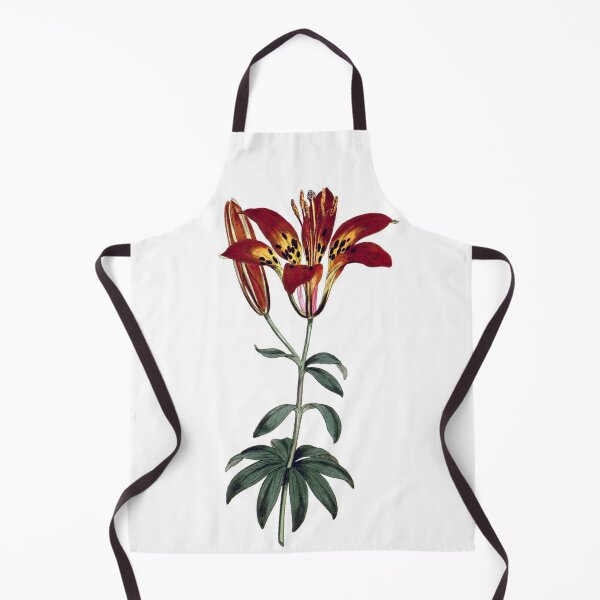 Item preview, Sydenham Edwards: Philadelphia Lily designed and sold by antaltamas89.