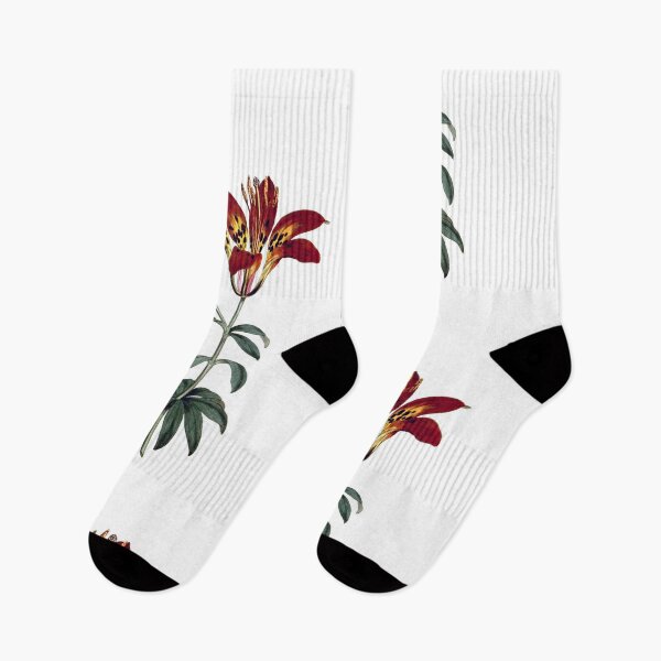Item preview, Sydenham Edwards: Philadelphia Lily designed and sold by antaltamas89.