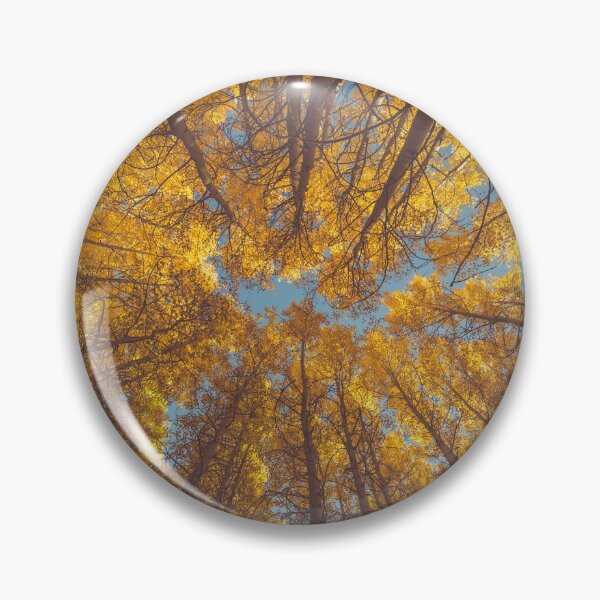 Item preview, Golden Fall Leaves in Low-angle Shot designed and sold by JoyforU.