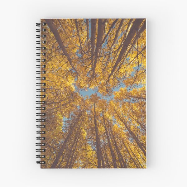 Item preview, Golden Fall Leaves in Low-angle Shot designed and sold by JoyforU.