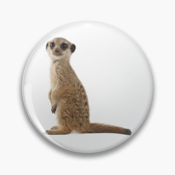 Item preview, The Meerkat Stands On Its Hind Legs And Tail designed and sold by Phantasmal-2-do.