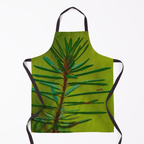 Item preview, Wild rosemary in the morning sunlight designed and sold by yarvin13.