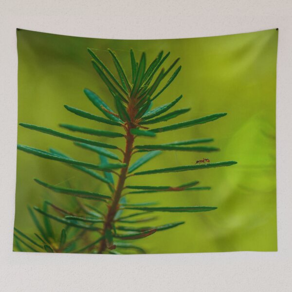 Item preview, Wild rosemary in the morning sunlight designed and sold by yarvin13.