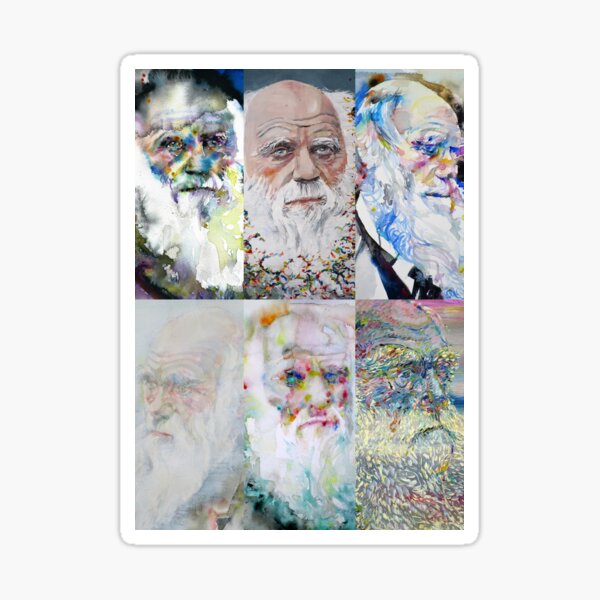 Item preview, SECHS MAL CHARLES DARWIN .1 designed and sold by lautir.