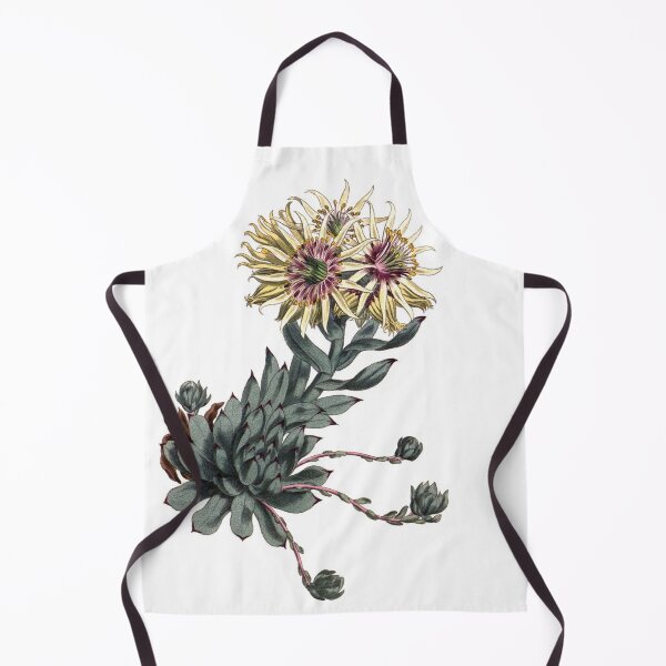 Item preview, Sydenham Edwards: Jovibarba globifera designed and sold by antaltamas89.