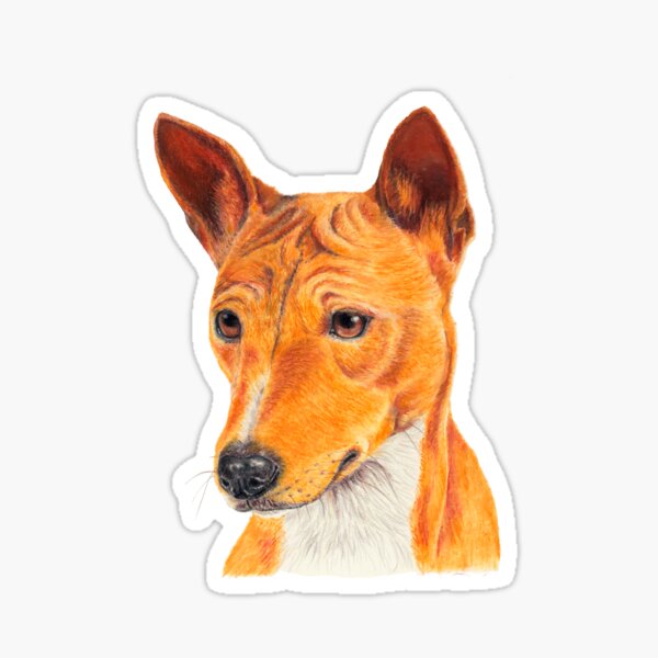 Basenji - color tan. African dogbreed Sticker