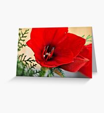 Christmas Flower Greeting Card