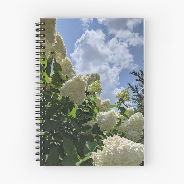 Item preview, Giant Limelight Hydrangea designed and sold by GardenAndEasel.