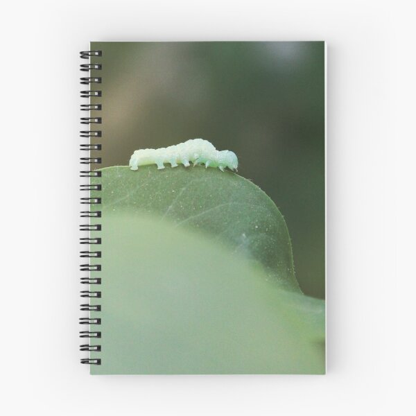 Item preview, Inchworm designed and sold by elvirahphoto.