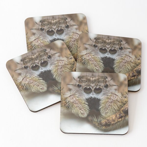 Item preview, jumping spider designed and sold by skeezix6.