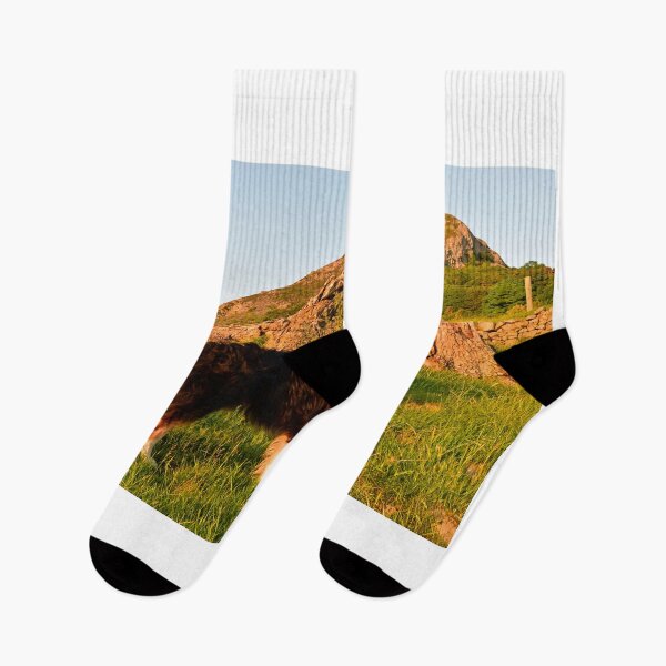 Item preview, Seize the Day. designed and sold by Michael Haslam.