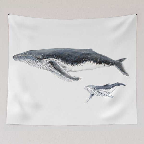 Item preview, Humpback whale mother and baby whale Megaptera novaeangliae designed and sold by chloeyzoard.