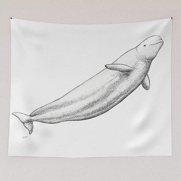 Item preview, Beluga whale (Delphinapterus leucas) ink artwork designed and sold by chloeyzoard.