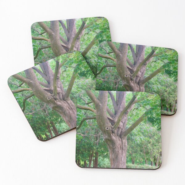 Item preview, Old Tree in the Park designed and sold by Shulie1.