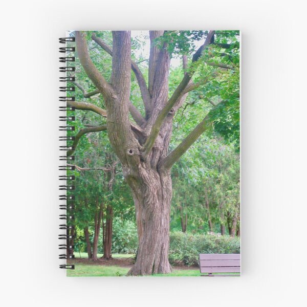 Item preview, Old Tree in the Park designed and sold by Shulie1.