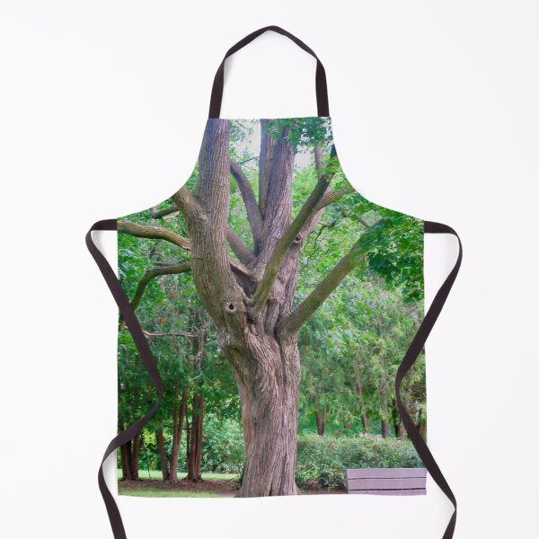 Item preview, Old Tree in the Park designed and sold by Shulie1.