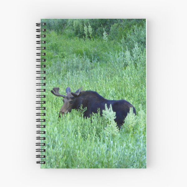 Item preview, Alpine Moose in Summer designed and sold by LeRoyM.