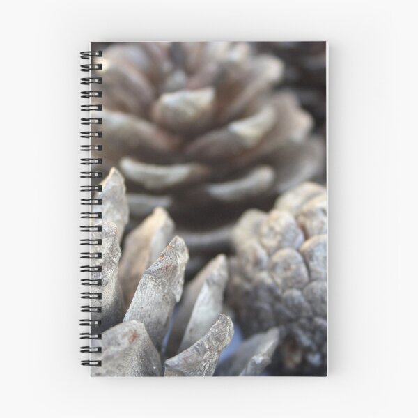Item preview, East Mediterranean Pinecone Close Up Photograph designed and sold by taiche.