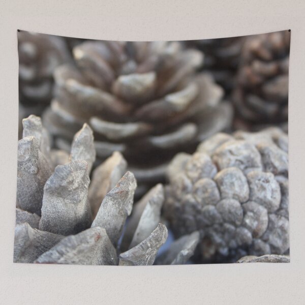 Item preview, East Mediterranean Pinecone Close Up Photograph designed and sold by taiche.
