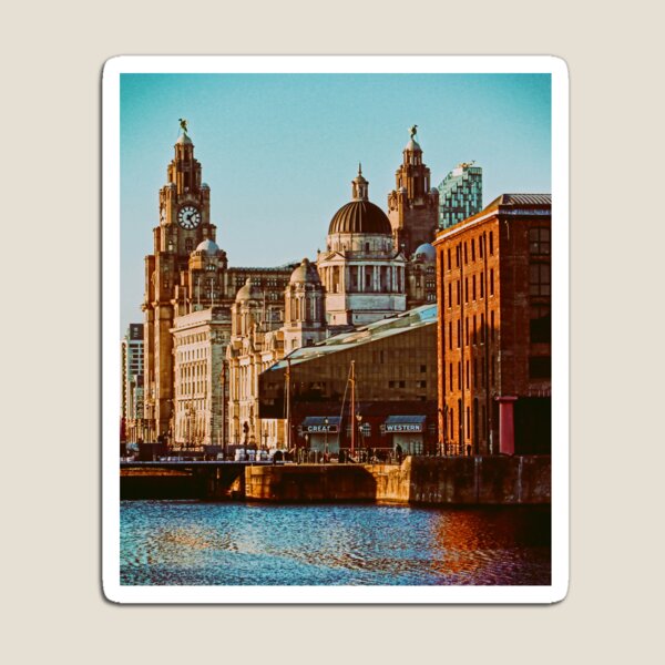 Collectable Novelty Fridge Souvenir Fridge Leeds Albert