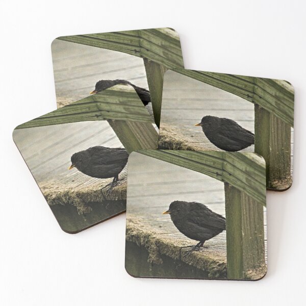 Item preview, Blackbird Bird Standing on Wooden Pier designed and sold by Anna Lemos.