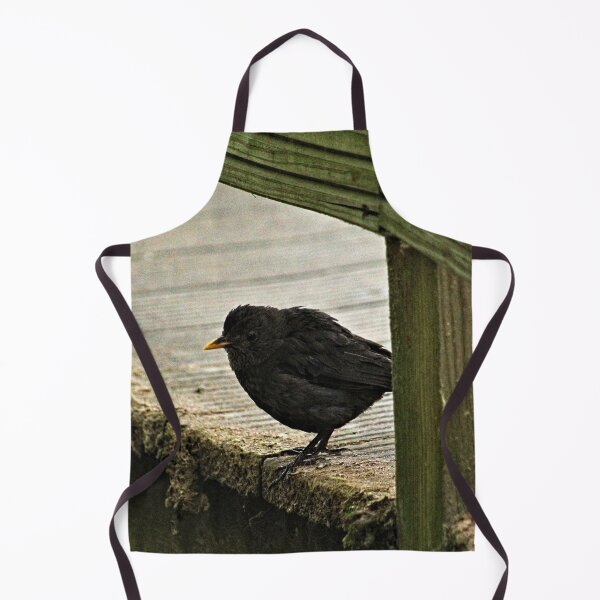 Item preview, Blackbird Bird Standing on Wooden Pier designed and sold by Anna Lemos.