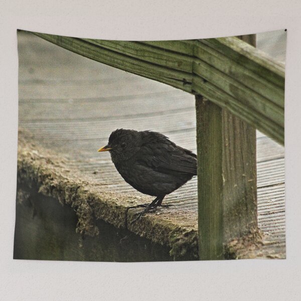 Item preview, Blackbird Bird Standing on Wooden Pier designed and sold by Anna Lemos.